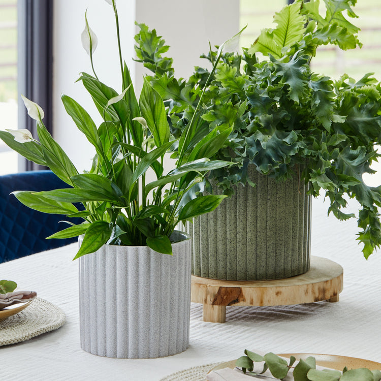 Textured Stone Effect Decorative Plant Pot