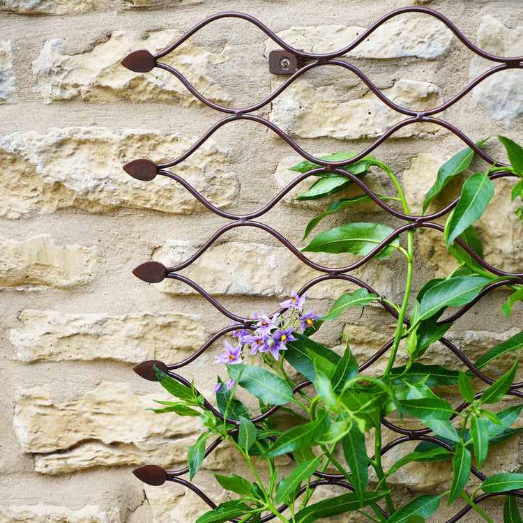 Outdoor Metal Climbing Plant Trellis Panel