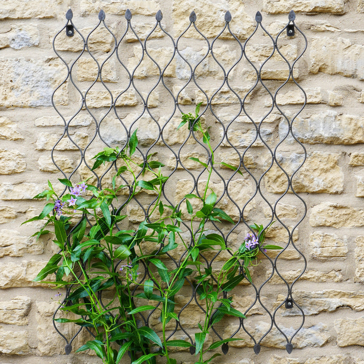 Outdoor Metal Climbing Plant Trellis Panel