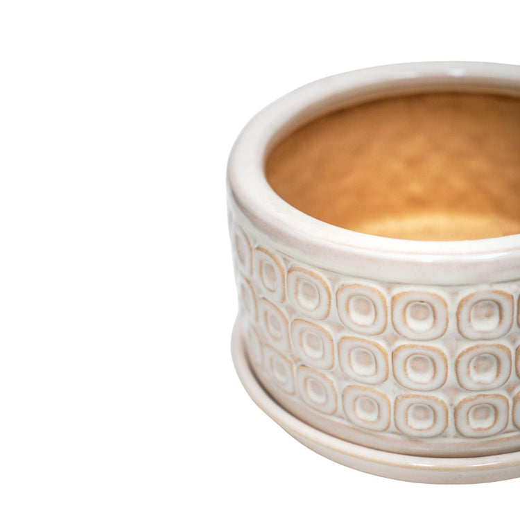 Patterned Low Ceramic Indoor Plant Pot with Matching Saucer