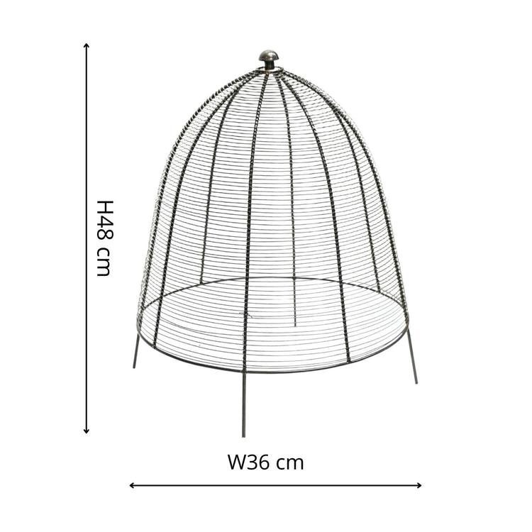 Outdoor Metal Wire Plant Protector Dome for Garden